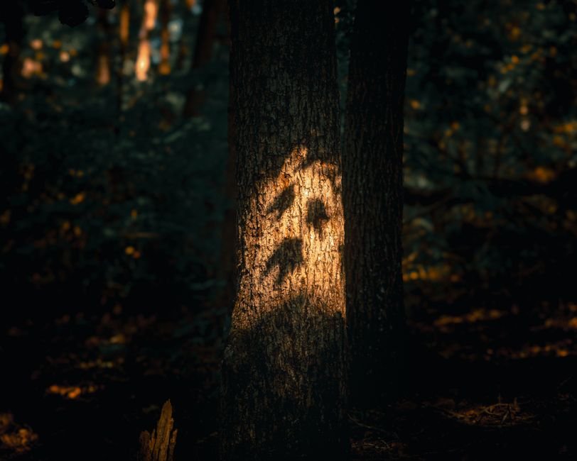 Darkness Falls